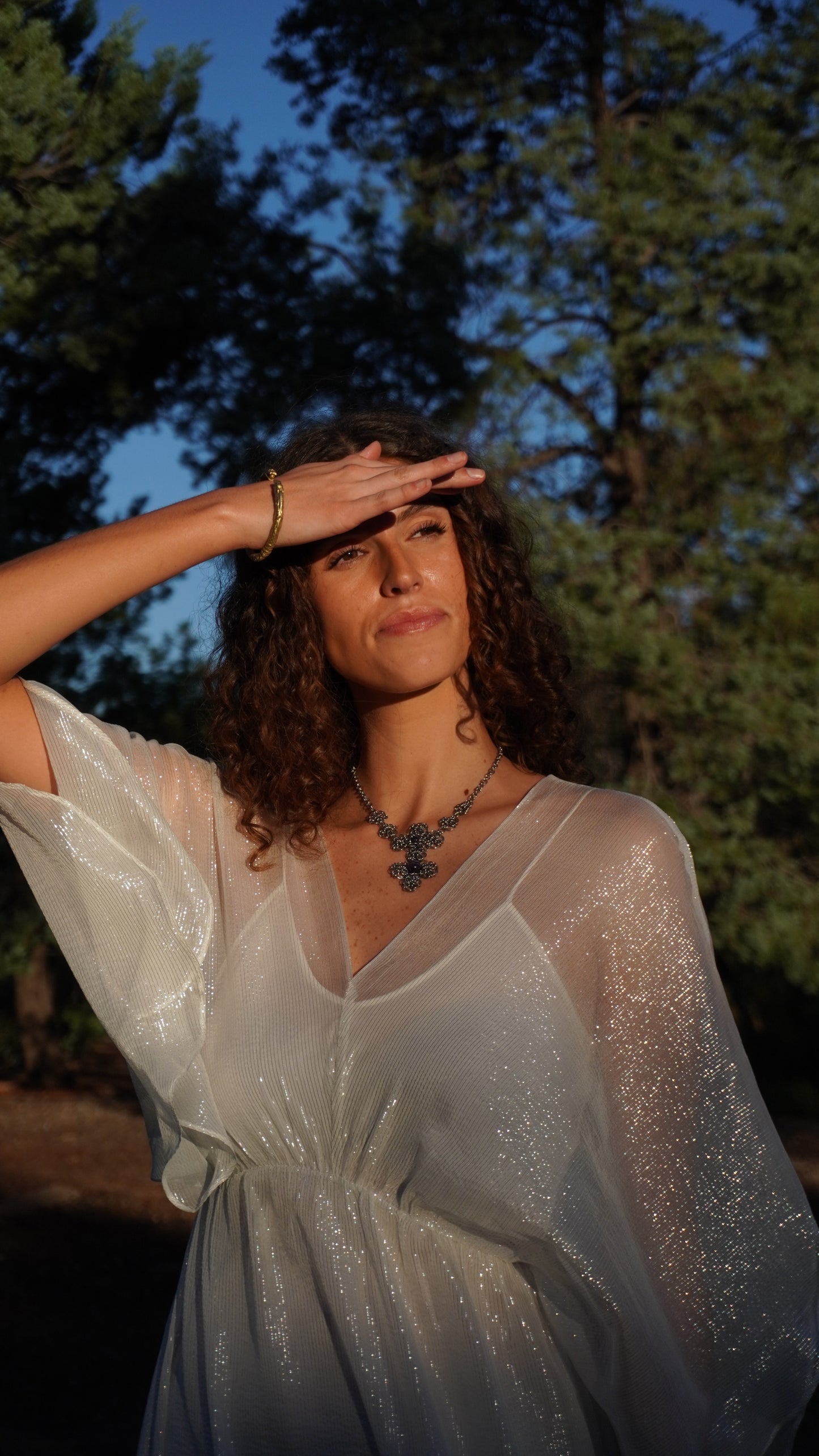 Elegant Silver Silk Dress - 100% Mulberry Silk